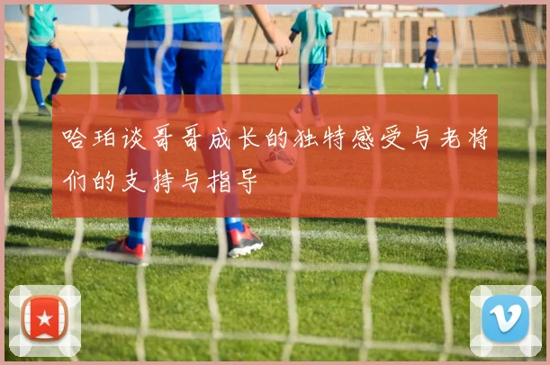 哈珀谈哥哥成长的独特感受与老将们的支持与指导